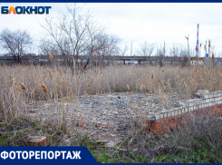 Рынок из 90-х: почему бизнес развалился и сколько людей вложились в пустырь за Трубным в Волжском