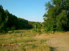 В регионе въезд в леса ограничен до ноября