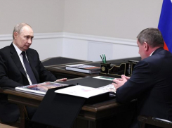 Владимир Путин и Андрей Бочаров обсудили историческую память, поддержку СВО и переименование аэропорта