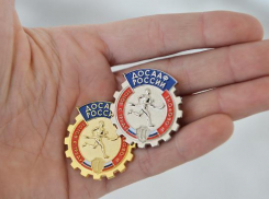 Почти 2 000 волжских школьников сдали нормативы комплекса ГТО