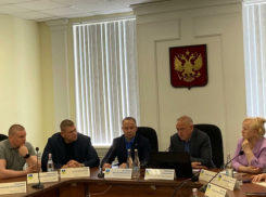 Глава Волжского отчитался перед слугами народа: слуги одобрили