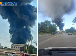 Большинство опрошенных волжан пугает частота пожаров