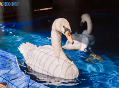 Последний рабочий день недели будет жарким