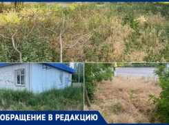 «Сухостой может вспыхнуть в любой момент»: жители 31-го микрорайона Волжского просят спасти их от травяного ада