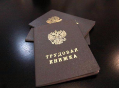 339 волжан были трудоустроены за месяц