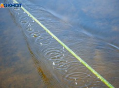 Штормовое предупреждение от МЧС: на Волгоградскую область надвигается шквалистый ветер