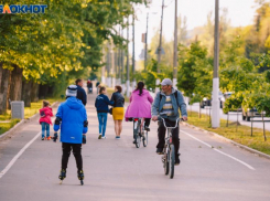 За сутки в Волгоградской области выявили 114 нарушителей самоизоляции