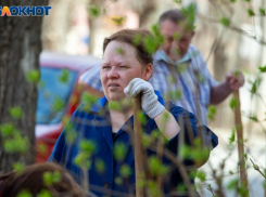  Жаркий день с переменной облачностью: какой будет суббота в Волжском