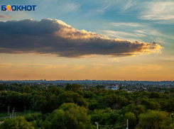 Лысым ежикам будет не комфортно в Волжском в четверг: прогноз погоды