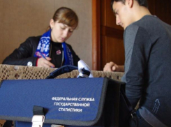 Росстат не будет запрещать волжанам идентифицировать себя эльфами и гоблинами