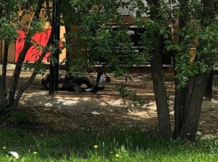 Нашли повешенным 25-летнего парня на улице в Волгоградской области
