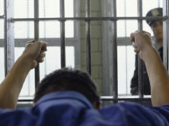 Волжанин попадет за решетку на полтора года за драку с полицейским