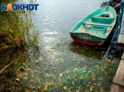 В солнечную субботу волжане займутся спасением лягушек: прогноз погоды