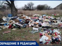 Роща в Средней Ахтубе превратилась в свалку: фото