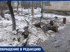 После опила деревьев через скандал у подъезда сломали лавку и бросили ветки в Волжском
