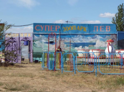 Передвижные зоопарки получили в Волжском постоянную прописку