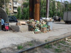 Волжане пожаловались на свалку пищевых отходов в 13 микрорайоне