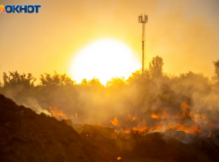 В Волжском началась аномальная жара: прогноз погоды