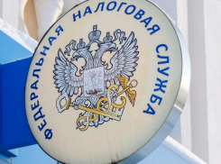 В 2020 году волжане смогут платить налоги по самозанятости