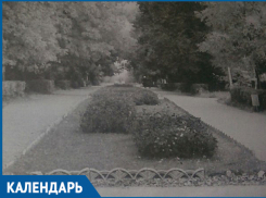 Календарь Волжского: 12 ноября завершилась выставка цветов