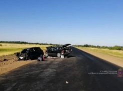 В ДТП на трассе «Волгоград - Сальск» погибли женщина и ребенок