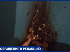«Грибок, развалины, трещины»: волжанка об условиях проживания