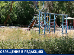 «После прогулок дети покусаны блохами»: волжанка о заросшем травой дворе