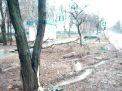 «Минус» забор, ветка на дереве и пострадал мужчина: авария произошла в Волжском