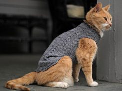 Утро вторника заставит померзнуть