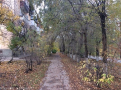 Плюсовую температуру пообещали волжанам в Иларионов день 