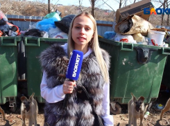 Непролазная глина в подарок от мэрии и дикие псы: как живут на острове Зеленый в Волжском