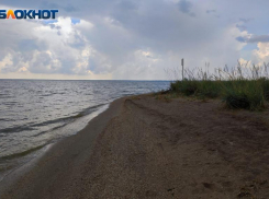 Об уникальном Птичьем острове и купании в опасной быстрине: Блокнот Путешественника для волжан