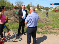 Новый сквер, работа над дорогами и уборкой: как работают в волжских СНТ рассказал депутат гордумы