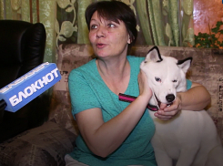 Сбежавшую из дома белоснежную красавицу смог поймать молодой человек