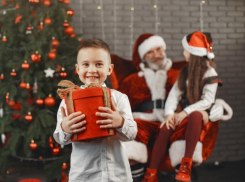 Отличные новогодние подарки по привлекательной цене в одном магазине