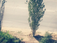 «Писающие» волжские маршрутчики свели с ума жителей 27 микрорайона 