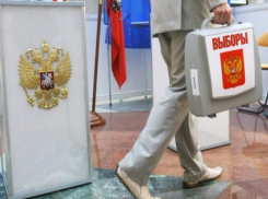 Волжане проголосуют на дополнительных участках