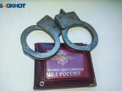 Глава Волжского похвалил сотрудников полиции за поимку сантехников, которые избили и ограбили пенсионера  