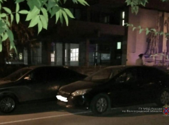 В области УАЗ сбил овцу: в результате ДТП водитель погиб