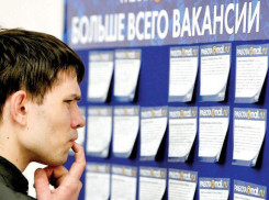 Волгоградская область лидирует по количеству трудоустроенных выпускников в ЮФО