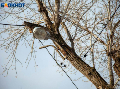 Температурные качели будут в Волжском в воскресенье: прогноз погоды