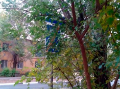 «В городе вдоль дорог появились знаки-невидимки», - волжанин