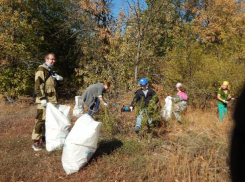 Сотрудники природных парков организуют трудовые десанты