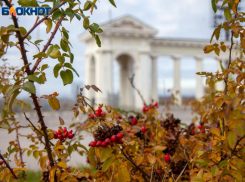 Мороз и солнце ждут волжан в среду утром: прогноз погоды