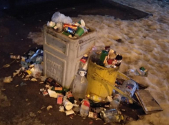 Мусорные короли: кого ругают волжане за вечные свалки на улицах