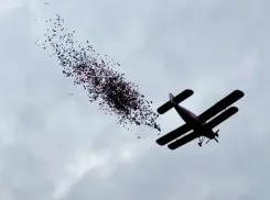 Волжан поздравят с воздуха: тысячи поздравительных открыток выпадут с неба