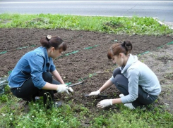 Волжским подросткам предлагают заработать летом