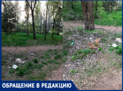 «Сделали из сквера свалку», - волжанка