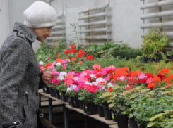 Возможность побывать в нескольких экзотических странах одновременно получили волжане