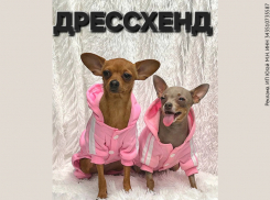 Товар дня. Скидка 30% на одежду для ваших питомцев в «Дрессхенд»